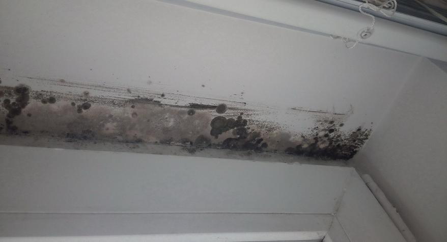 Preventing problems with condensation or mould in your home - Plugs Electrical, High Wycombe