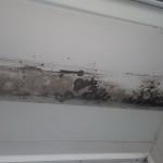 Preventing problems with condensation or mould in your home - Plugs Electrical, High Wycombe